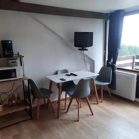 Le Lorrane Apartment Muhlbach-sur-Munster
