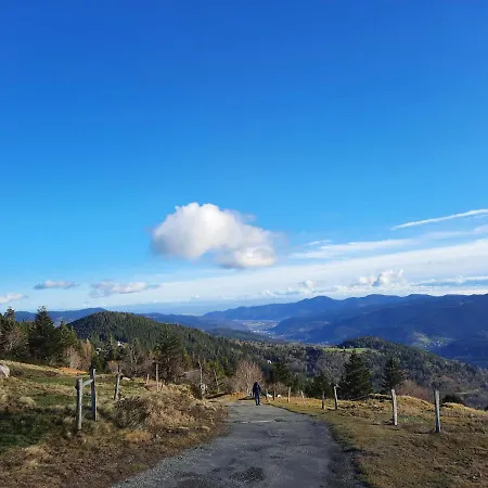 Apartament Le Lorrane Muhlbach-sur-Munster