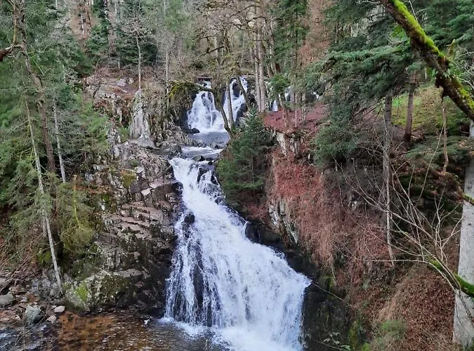 Le Lorrane Διαμέρισμα Muhlbach-sur-Munster