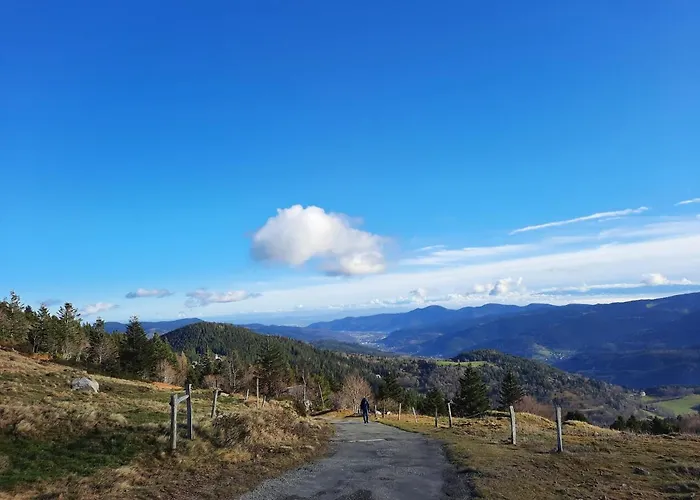 Διαμέρισμα Le Lorrane Muhlbach-sur-Munster
